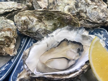 【一例】冬期限定！一部が牡蠣料理になります。自家菜園のレモンを添えて・・・（イメージ）