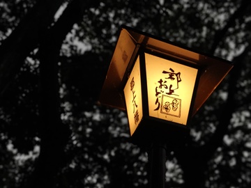 *郡上踊り