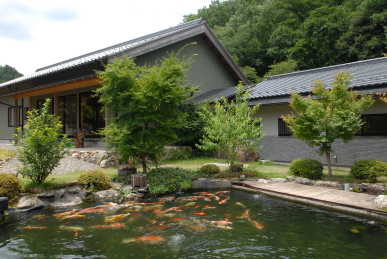 お部屋の前には錦鯉が泳いでいます