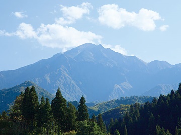 *豊かな自然の中佇む当館。周辺は長閑な風景が広がっております。