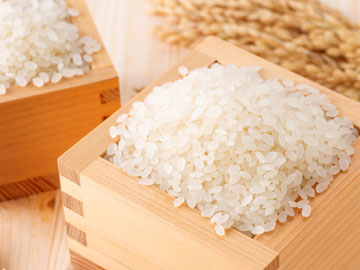 *【ご飯】毎年新米の姫路米を入荷しています！地元・姫路の農家から、玄米を直接仕入れ精米したお米です！