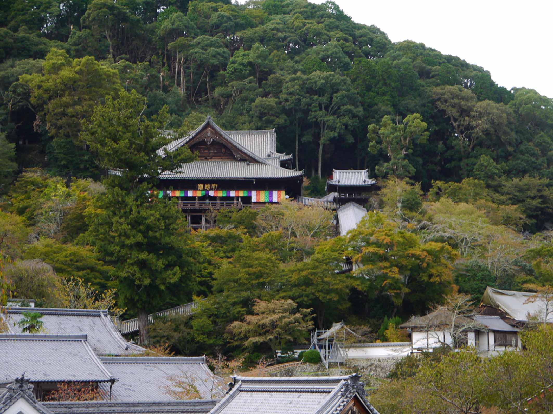 【奈良・長谷寺の本堂】小初瀬山中腹の断崖絶壁に舞台造された南面の大殿堂の国宝。