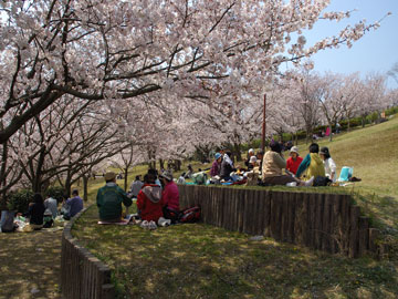 円通寺公園