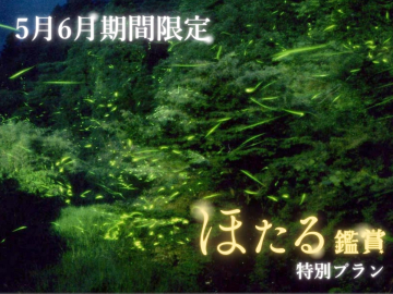 *【季節限定】ほたるが見れる季節の特別プランです。ほたる鑑賞をしに耶馬渓に旅しませんか？