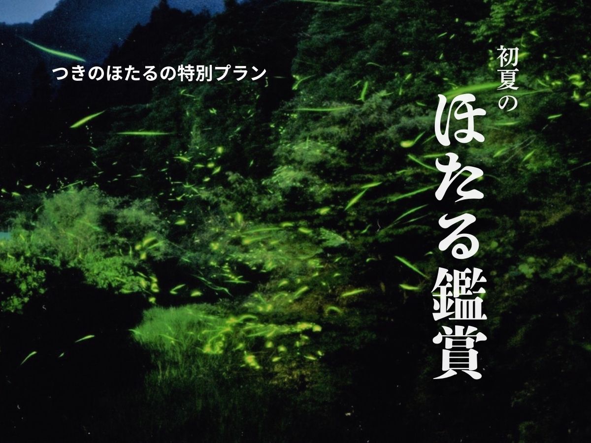 【初夏限定】ほたる鑑賞をしに耶馬渓に旅しませんか？