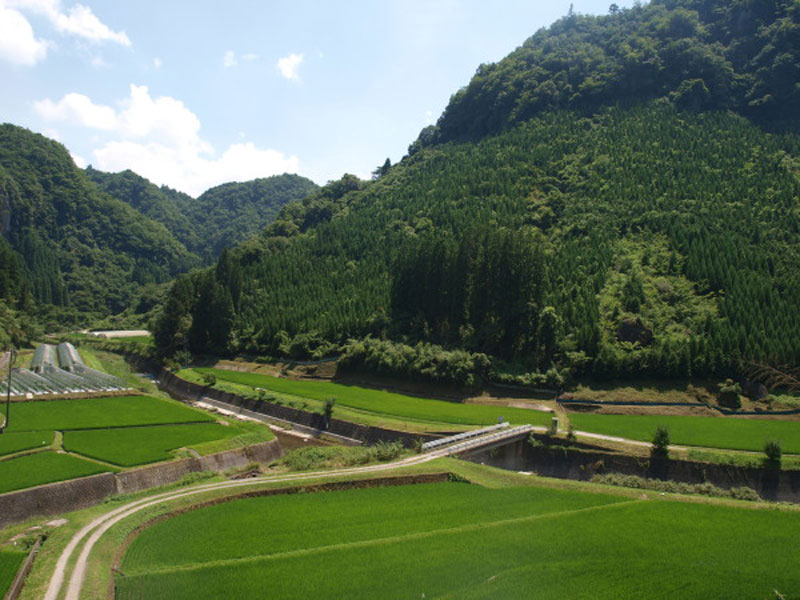 *都会と比べてゆっくりと時間が流れる耶馬溪で過ごしませんか？
