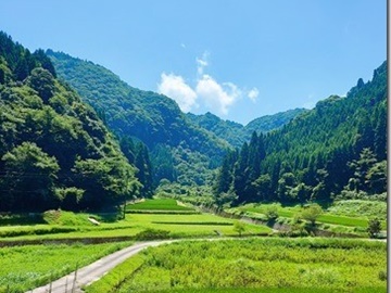 四季折々の耶馬渓の景色をお愉しみください。