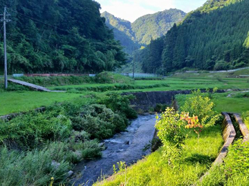 近くの折戸渓谷。川のせせらぎが心地よいです。川遊びもできます♪
