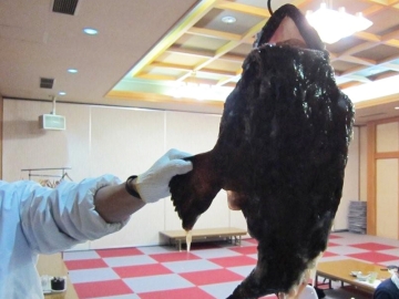 *【あんこう】あんこう料理と言えば、吊し切り！