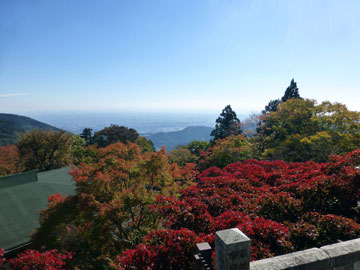 *【阿夫利神社周辺】毎年11月には真っ赤な紅葉をお楽しみ頂けます。