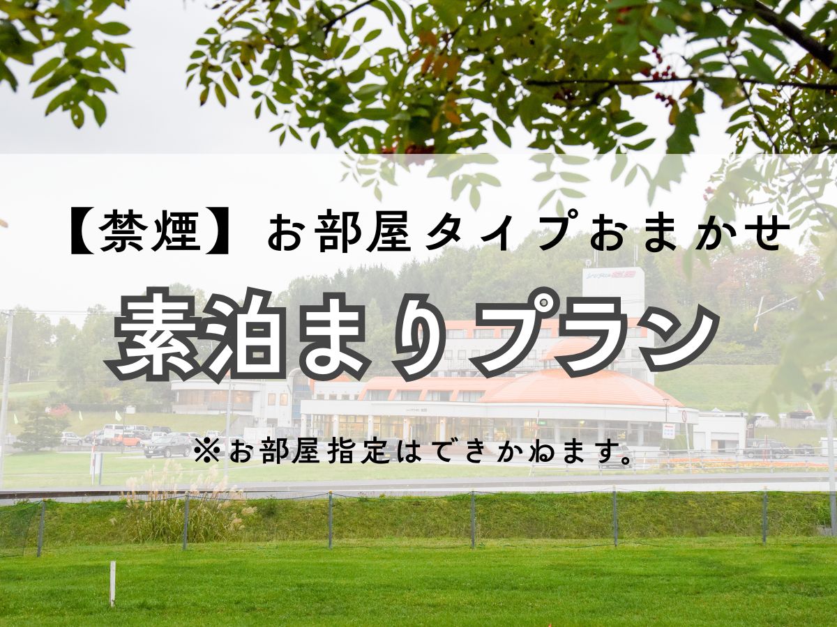 *お部屋タイプおまかせでお得！素泊まりプラン