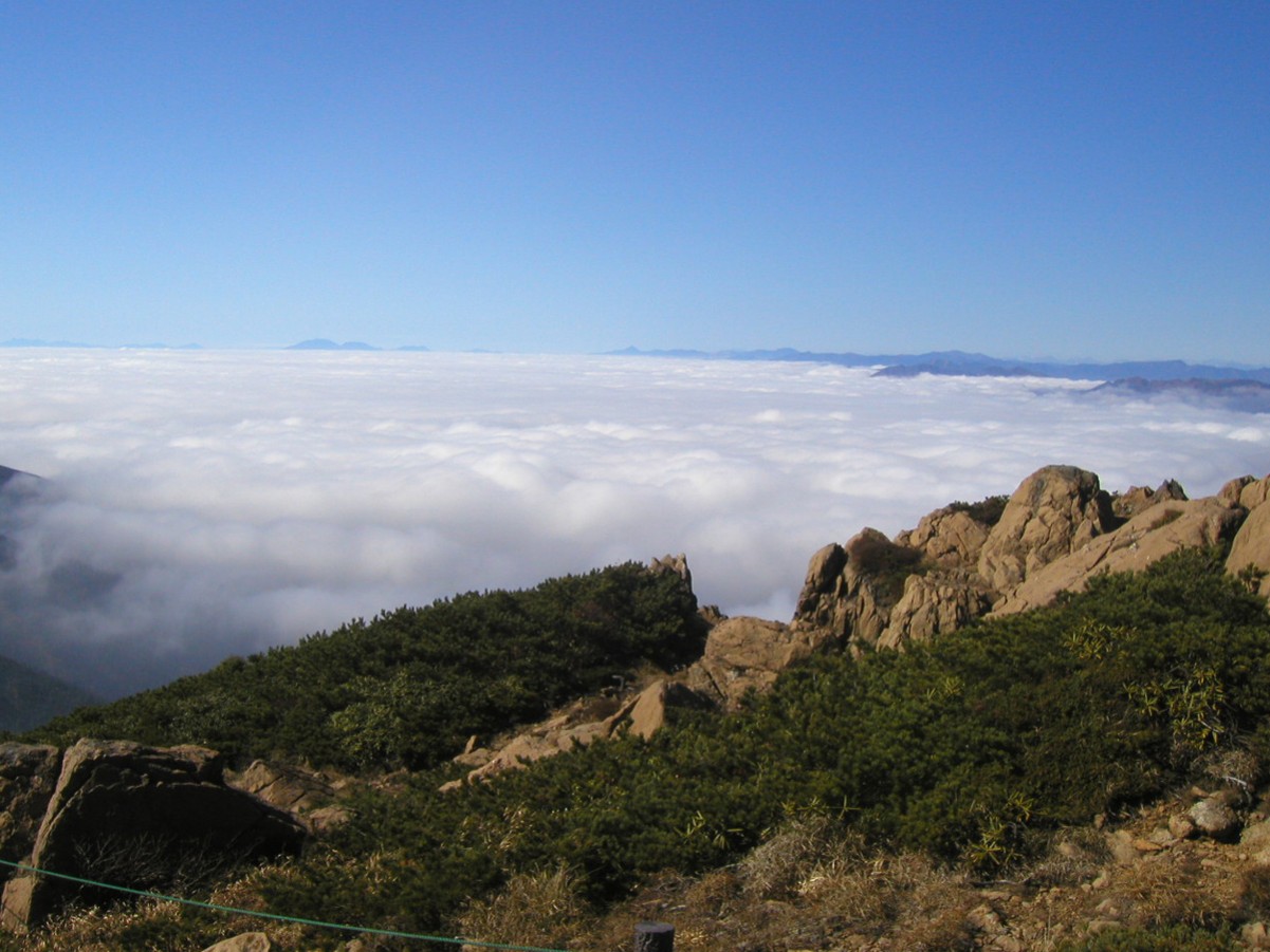 *尾瀬/尾瀬認定ガイドであるオーナーが尾瀬の見所をアドバイスします！