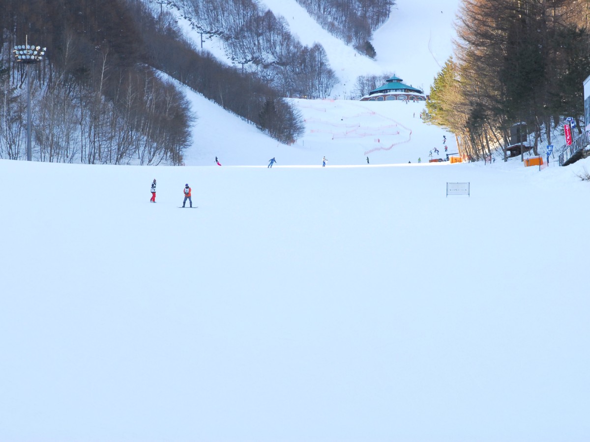 *ホワイトワールド尾瀬岩鞍スキー場/初級者から上級者そしてキッズまでレベルを問わず楽しめる！