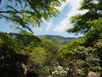 *【強羅公園】花と緑に囲まれた庭園です。