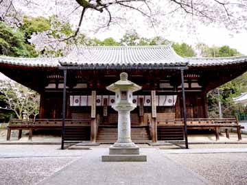 ≪本堂≫鎌倉時代に建てられた本堂は国宝に指定されています。朝の勤行等も行われます。