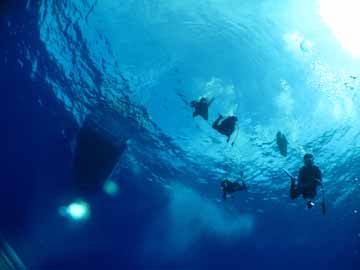 *【ダイビング】魚たちの住む深い海の底へ