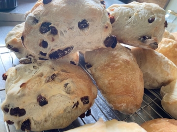 新作レーズンパン！こんなにレーズンの入ったパンは食べたことない！