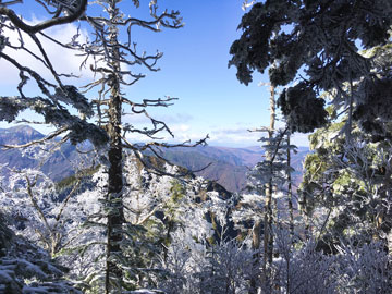 *［秋・佐武流山登山］うっすらと初雪が降る山頂付近（11月上旬）