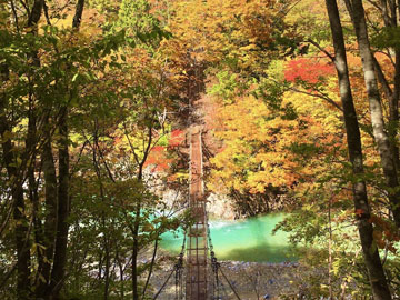 *［秋・裏庭の吊り橋］藍色の中津川渓谷と色鮮やかな紅葉のコントラスト