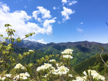 *［初夏・鳥甲山］秋山郷の短い夏を思う存分お愉しみ下さい