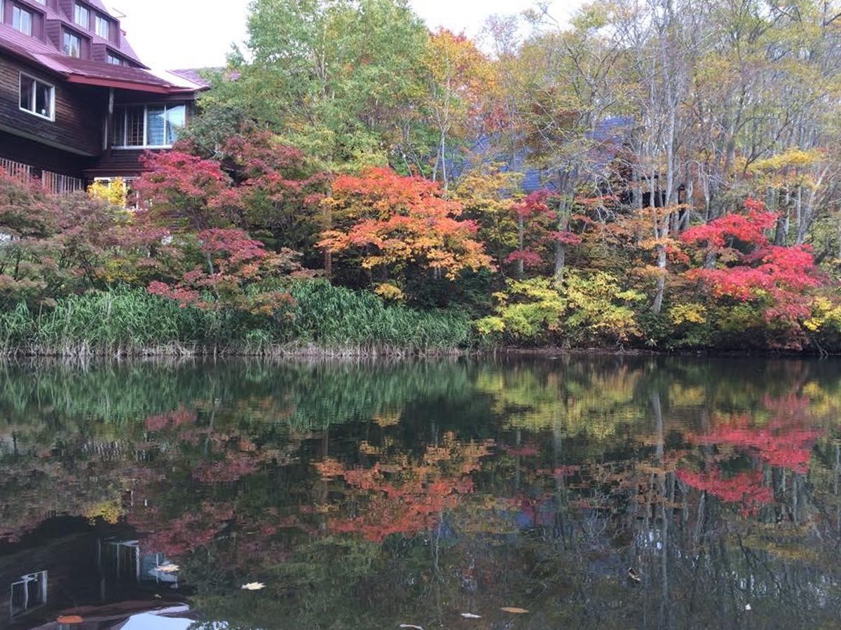 *【周辺】紅や黄色に染まった木々が水面に映り、より一層鮮やかさを感じさせてくれます。