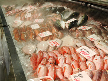 *【鮮魚】ぴっちぴち！新鮮な海の幸が並びます。