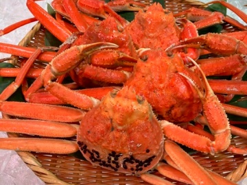 *本ズワイガニ付きプラン/新潟県本ズワイ蟹一杯が付いた贅沢なプランをご用意！