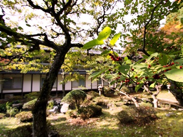 *庭園と樹木に囲まれ、四季の風情が楽しめる客室