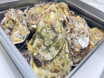 *牡蠣のガンガン焼き～濃厚な牡蠣をどうぞ～