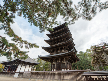 *【周辺観光】当館目の前には五重の塔！世界遺産の興福寺です