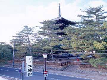 *当館の目の前には興福寺の五重塔がございます。