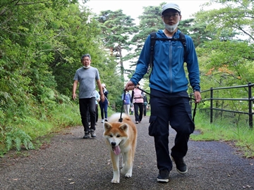 *「秋田犬と散歩」体験パック～経済産業省のヘルスツーリズム認証プラン～