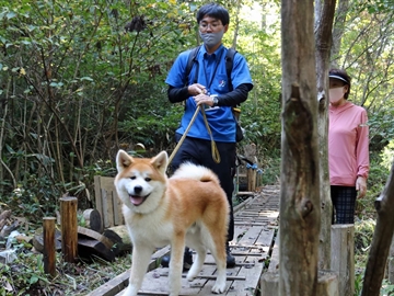 *「秋田犬と散歩」体験パック～経済産業省のヘルスツーリズム認証プラン～