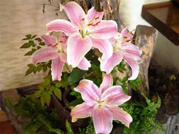 *館内/純和風の館内には季節のお花を活けて皆さまをお迎えいたします。