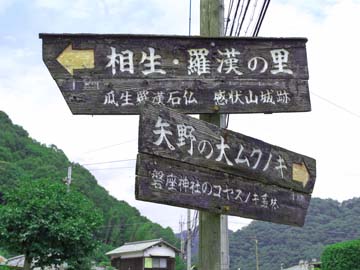*羅漢の里の近くには兵庫県指定天然記念物の矢野の大ムクノキも。ぜひどうぞ！