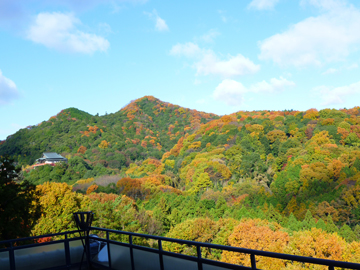 ロビー横の総硝子張りのデッキからは信貴山が一望。落葉樹が多い為、紅葉の時期はそれは見事です。