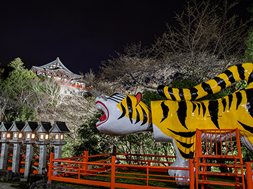 *【朝護孫子寺】お寺のシンボル「大寅」