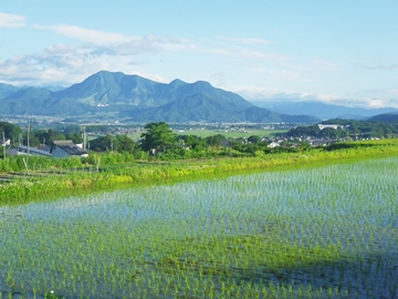 *周辺風景／当館のまわりは昔ながらの田園風景が広がります！ゆっくり田舎時間をすごしたい方にオススメ