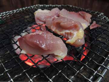 大将こだわり！地鶏は噛めば噛むほど味わいが増します