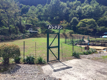 愛犬も思う存分楽しめる水分村で、家族みんな一緒に思い出をお作りいただけます♪