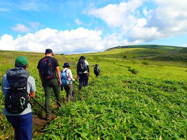 *【トレッキング・登山】刻々と移ろう四季を五感で感じる、自然溢れる山の魅力（イメージ）