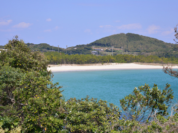 *【宿周辺の景色】美しい海と自然をを感じていただける宿です