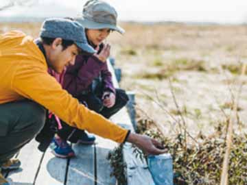 *周辺散策／普段見られない植物を観察しながらお散歩を楽しんで。