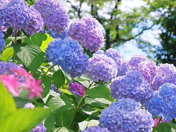 *梅雨でも楽しくお過ごしいただけます！(イメージ画像)