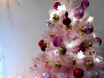 *12月はクリスマス仕様にデコレーション♪