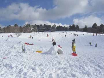 【そり遊び広場】ソリ専用のゲレンデです