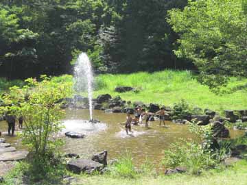 【流れの遊び場】安全に水遊びが楽しめます