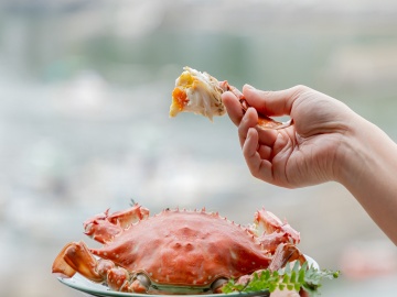 【茹でガニ】夏は雄蟹の濃厚ミソ。冬は雌蟹のたっぷり卵が美味。
