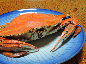 *夏はオスカニの濃厚ミソ、冬はメスカニのたっぷりたまごが美味♪