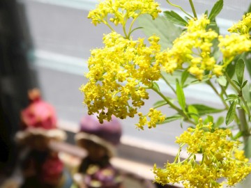 *館内一例／館内には季節のお花を飾ってお客様をお迎えいたします。